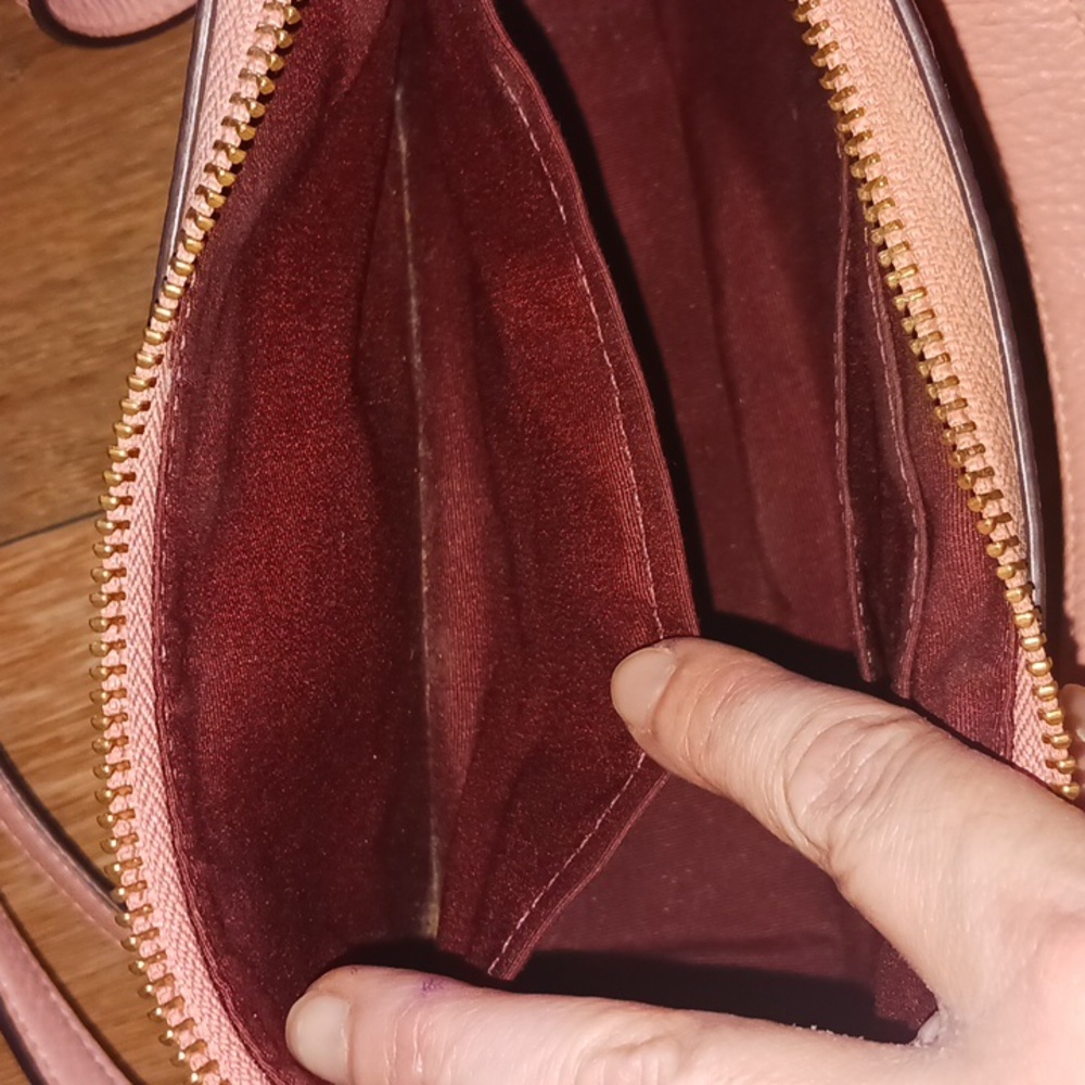 Coach Teri Candy Pink Leather with Creature Patches Crossbody Bag - Picture 10 of 14